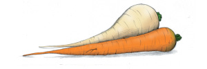 carrots